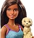 Mattel Barbie Barbie Pets and Accessories - Brunette, GDJ39