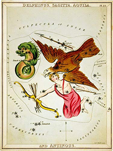 TNND Poster vintage Horoscope Graphics Sagitaire Fortune Stars Art Décoration murale en métal Poster 20,3 x 30,5 cm
