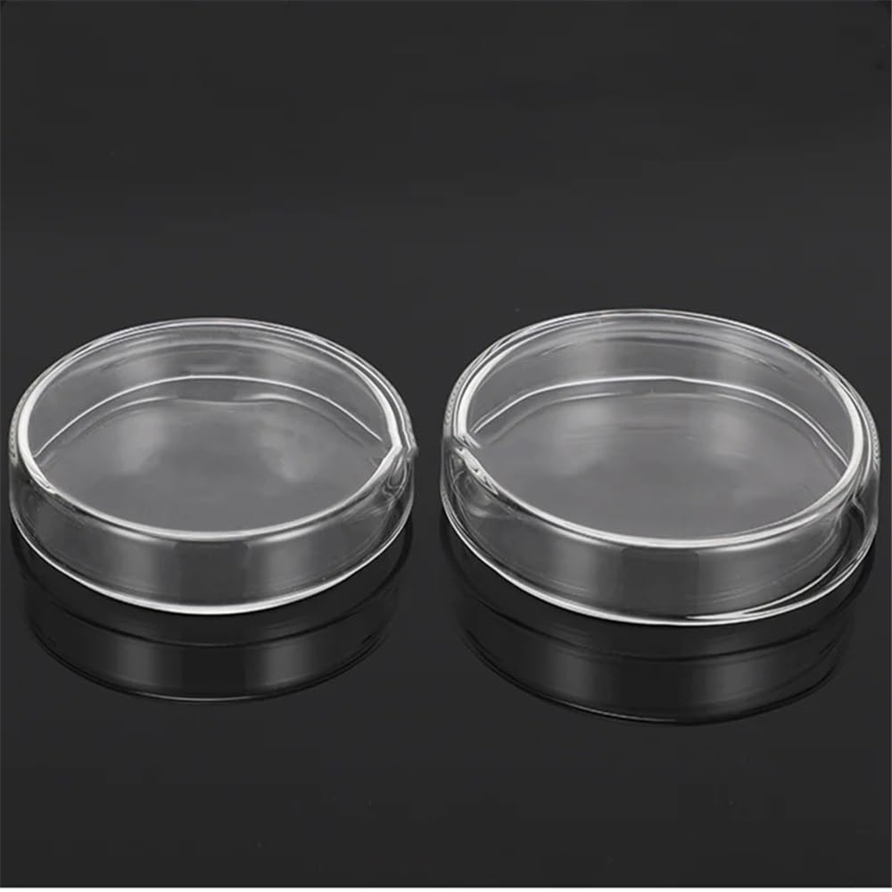 Attrezzature e forniture di laboratorio 60/75/90/100/120 mm con coperchio in vetro borosilicato da laboratorio Petri