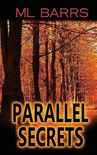 Parallel Secrets view 2