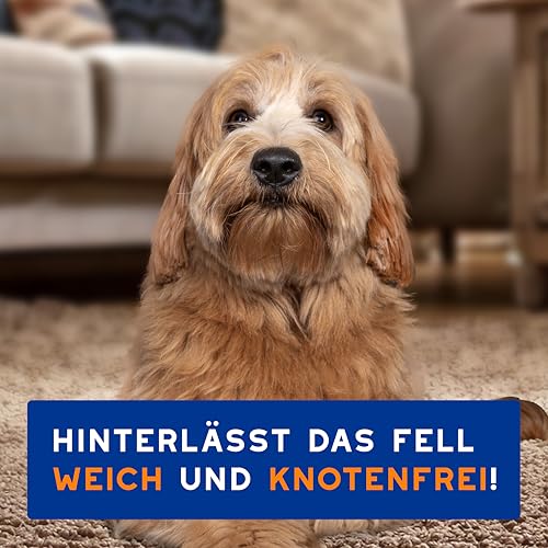 DOUXO Skin & Coat SPA – Ultra-Safe* 2-in-1 Shampoo & Conditioner für Hunde, 250 ml, reinigt und spendet der Haut Feuchtigkeit, hinterlässt das Fell weich und knotenfrei, hautfreundliche Formel