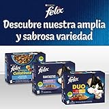 Felix Fantastic Nassfutter für Junior-Katzen, Gelee, Sortiment aus Ochse, Lachs, Huhn und Thunfisch, 12 Packungen mit 4 Beuteln à 85 g (48 Umschläge)