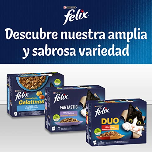 Felix Fantastic Nassfutter für Junior-Katzen, Gelee, Sortiment aus Ochse, Lachs, Huhn und Thunfisch, 12 Packungen mit 4 Beuteln à 85 g (48 Umschläge)
