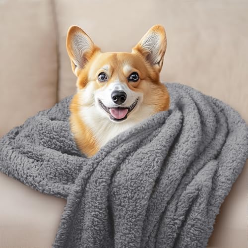 Image of Luciphia 1 Pack 3 Calming Dog Blanket Fluffy Premium Fleece Pet Blankets Soft Sherpa Throw for Dogs Puppy Cat Grey /Beige /HazeBlue Small (23 inch x16 inch)
