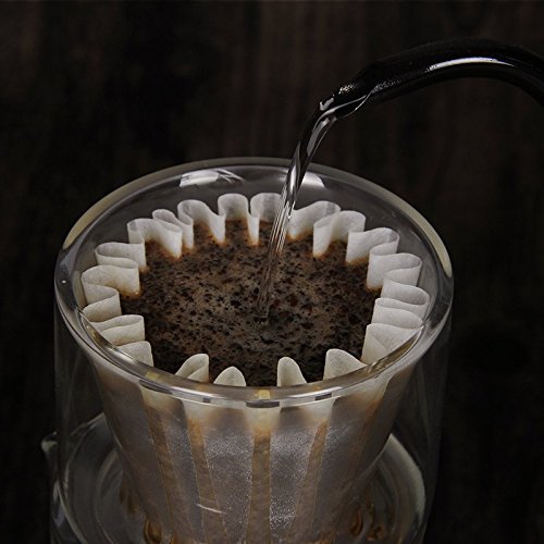 Adolph Double Wall Vacuum Sealed Glass Coffee Maker. Anti-Condensation and Thermo Shock Resistance Server and Coffee Dripper (500ml for 1-4 Cups)