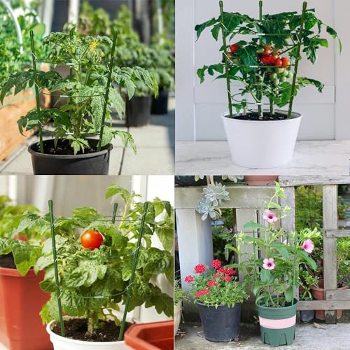 4 Pack 18 Inch Metal Tomato Cages for Garden, Adjustable Plant Support Cages with 66ft Garden Twist Tie, Small Plant Stakes Support Rings for Potted Climbing Plants Vegetables Flowers by VASLON - Image 7