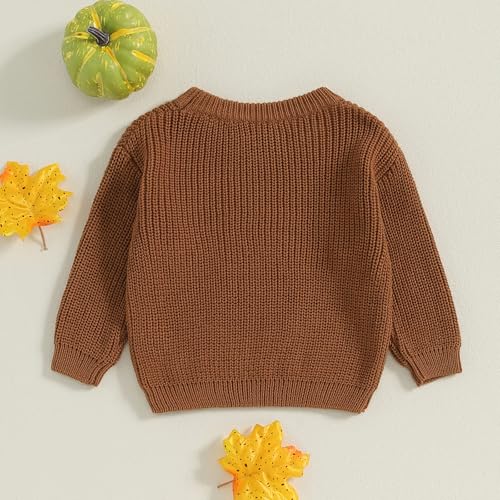 Little Kids Baby Boy Girl Halloween Pumpkin Letter Embroidery Knitted Sweaters Oversized Long Sleeve Warm Sweater3