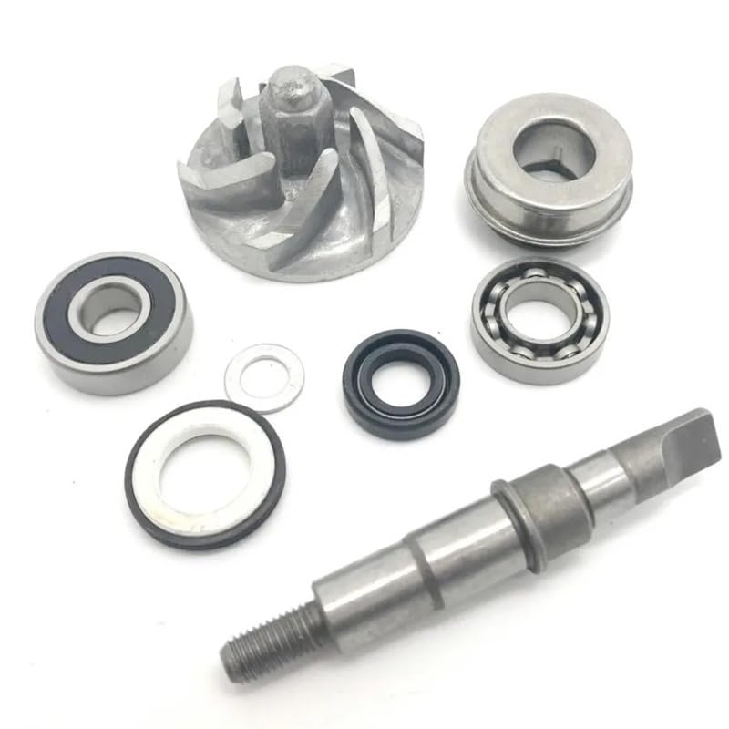 Pièces moteur de pompe à eau pour quad 250cc ATV Cougar Gator Zuma