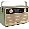 Nordmende Transita 121 IR draagbare internetradio (DAB+ radio, FM, Bluetooth, WLAN, 24 uur batterij, wekker, slaaptimer, hoofdtelefoonaansluiting, 5 W mono-luidspreker) groen
