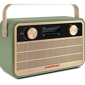 Nordmende Transita 121 IR draagbare internetradio (DAB+ radio, FM, Bluetooth, WLAN, 24 uur batterij, wekker, slaaptimer, hoofdtelefoonaansluiting, 5 W mono-luidspreker) groen