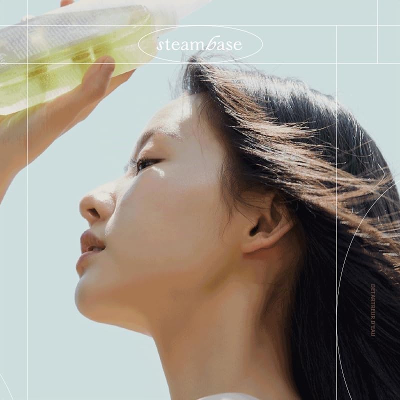 [steambase] Tea Tree Scalp Water Scaler (Détartreur d'eau de cuir chevelu d'arbre à thé) 250ml