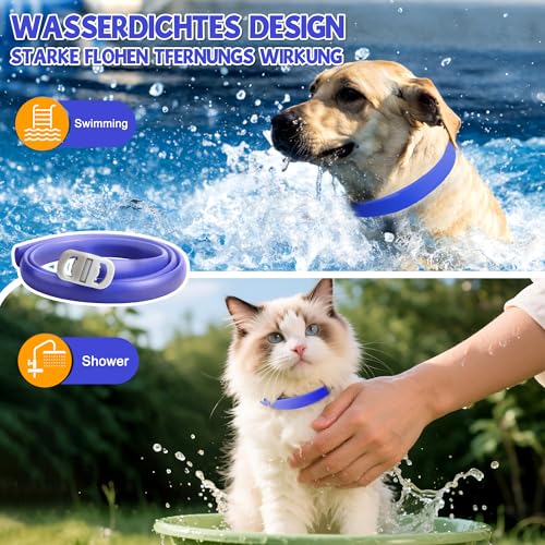 2 Pcs Floh Zeckenhalsband für Katzen & Hunde | Bis zu 16 Monate Langzeitschutz | Natürlicher Floh- und Zeckenschutz | Wasserdichter Verstellbares (Blau, Universal)
