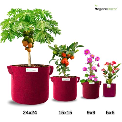 Image of ORGANIC BAZAR 24x24 Very Big Size Tree Grow Bag for Fruit Plants, Premium Geo Fabric 450 GSM Geo Fabric Large Plant Bags | (Pack of 1)