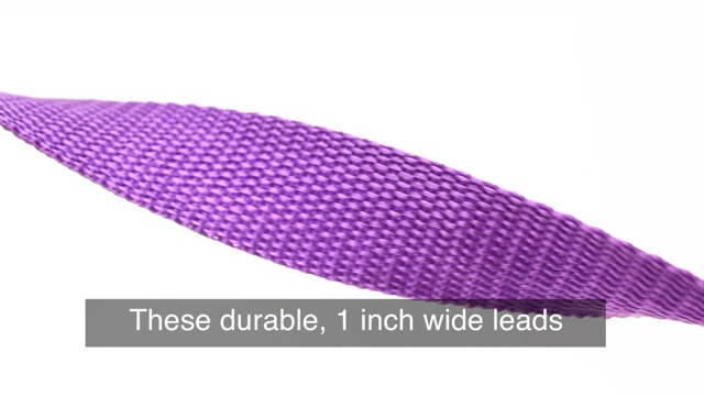 Downtown Pet Supply - 6ft Dog Kennel Slip Lead Dog Leash - Veterinarian, Dog Grooming, Daycare & Animal Rescue Dog… - Image 7