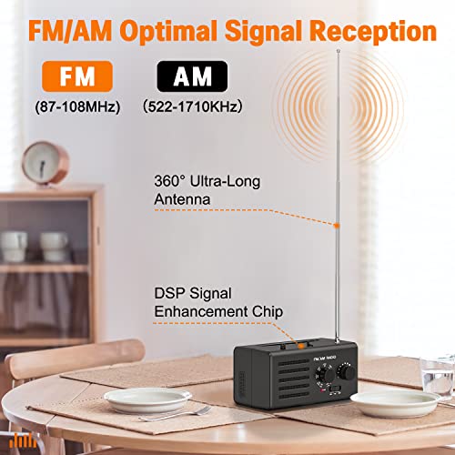 Transistorradio AM FM – Tragbares Radio mit bestem Empfang, eingebautem Lautsprecher, Kopfhöreranschluss, unterstützt… - Image 3