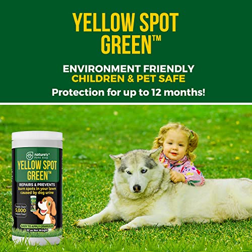 Yellow Spot Green™ Cures Urine Burns And Prevents Yellow Spots In Your Yard. Dog Urine Neutralizer For Lawns. Repair And Protect Grass From Dog Pee. Easy To Use Granules. Large 32 Ounce. #TOP6