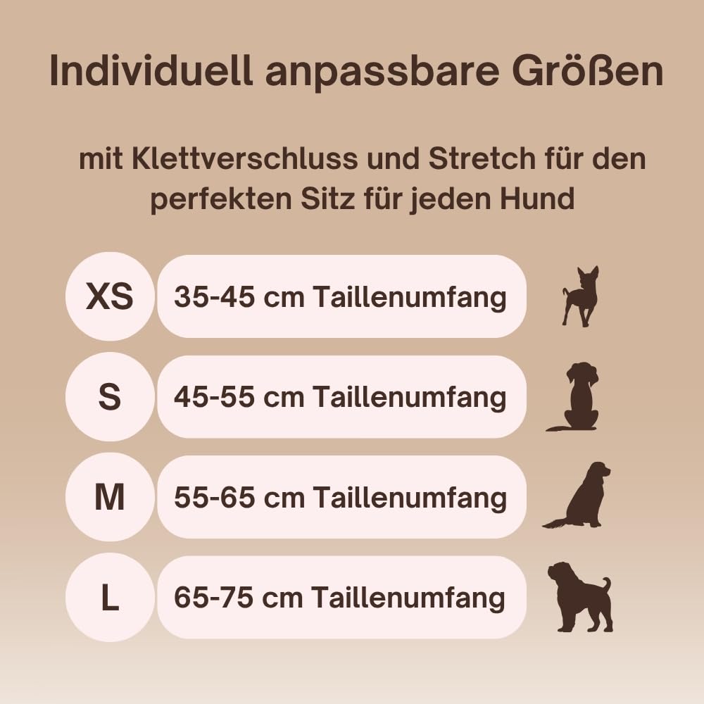Holly Premium Hundewindeln für Hündinnen und Rüden 2er-Set, Läufigkeitshose mit Klettverschluss waschbar bei Inkontinenz, Läufigkeit - Oeko-TEX Baumwolle, Hunde- windel weich & atmungsaktiv