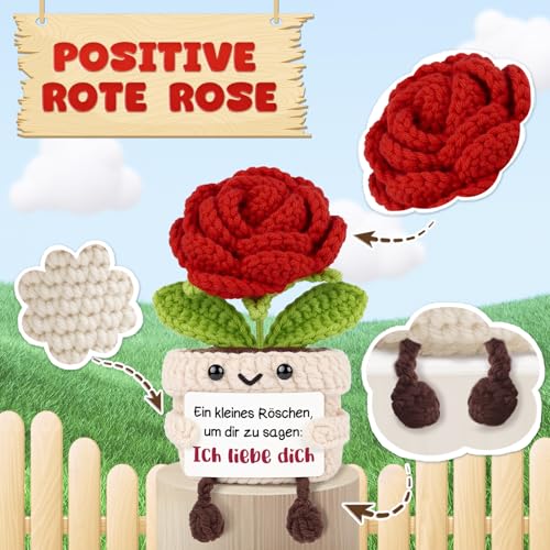 Giftasy Ich Liebe Dich Geschenke Für Frauen - Handgemachte Gehäkelte Rote Rose Mit Energiekarte, Geschenke zum Jahrestag, Hochzeitstag, Valentinstag Für Partner, Sie, Freundin, Freund