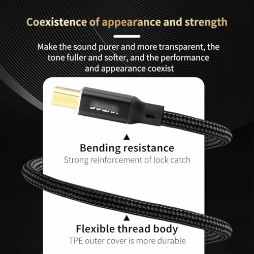 Câble USB TypeC HiFi anti-interférence pour son numérique pur 1m