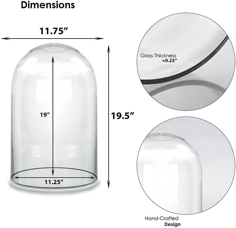Glass Dome Cloche H-19.5" D-12 Bell Jar Terrarium Display Cover - Pack of 1