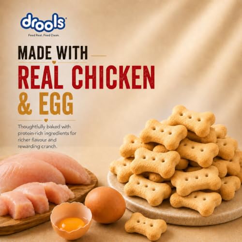 Image of Drools All Life Stages Dog Treat Biscuits 800g Jar | Real Chicken Flavour | All Breed Formula | Promotes Lustrous Skin & Coat | Vitamins & Minerals | Reduces Tartar Build Up