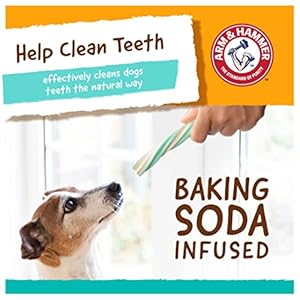 Arm & Hammer for Pets Twisters Fresh Breath Dental Treats for Dogs, Value Pack, 57 Pieces | Dental Dog Chews Fight Bad Doggie Breath, Plaque & Tartar Without Brushing