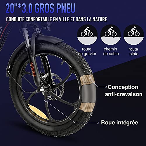 Fafrees F20 Fat Tire E-bike 20 inch, 250 W met 36 V 16 Ah wisselaccu, opvouwbare City E-bike 25 km/u, mountainbike met… - Afbeelding 7