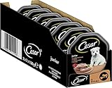 Cesar Hundefutter Nassfutter Junior für Welpen und Junge Hunde <1 Jahre mit Truthahn & Kalb in Pastete, 14 Schalen (14 x 150g), 2100 g