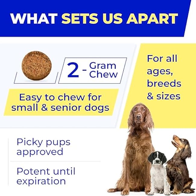 Pet Probiotics for Dogs & Digestive Enzymes for Dogs | Gut Health & Digestive Function Support | Pumpkin & Omega | Prebiotic Supplement Chews-uFwP7OCs