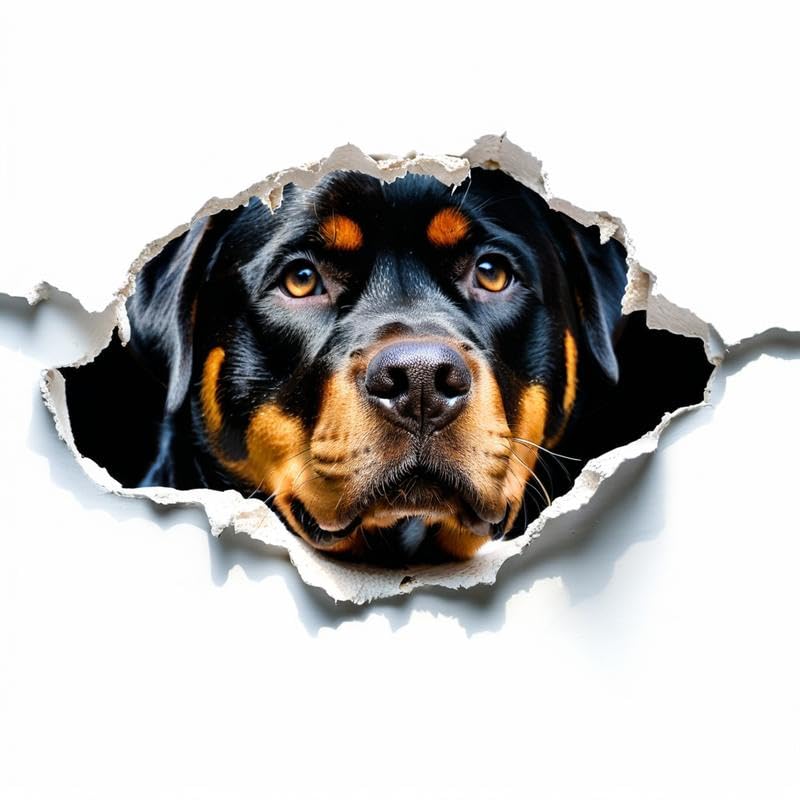 Rottweiler lustige Autoaufkleber,3D-Tränen-Effekt,Reflektierend Wasserfest, für Auto Laptop Kühlschrank Auto Stoßstange Dekoration ((18cm/7.09inch))