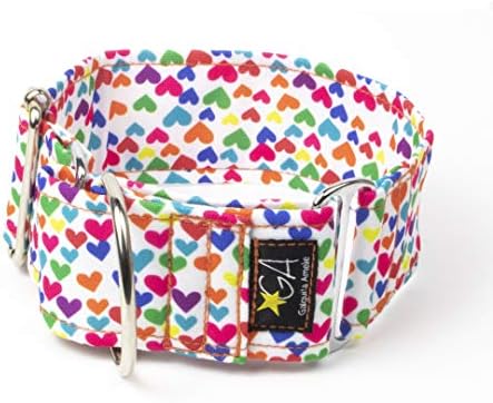 Halsband voor honden Koop vanaf 2.79 €. - Pagina 4