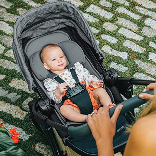 Chicco Corso Primo ClearTex Travel System - Image 5