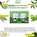 Petstoral 2-Pack Plaque Removal Natural Dental Powder, Dog Dental Care and Bad Breath Treatment, Dog Teeth Cleaning Powder for Healthy Teeth & Gums for All Dogs