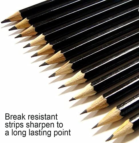 12 Pieces Professional GradedCharcoal Drawing Pencil for Artists Beginners Students Adults Kids Uses, Art & School Supplies (Graded Pencils)