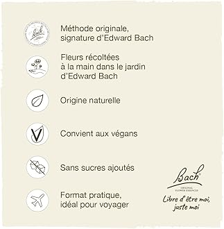 Bach Original Flower Remedies, Willow - Forgive & Forget - Natural Homeopathic Flower Essence for Emotional Balance - Vegan, Gluten Free, Sugar Free - 20mL Dropper