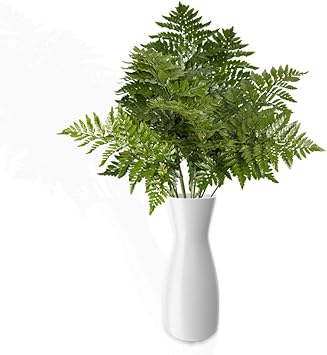 GlobalRose 80 Stems of Mixed Greens - Fresh Flowers Greens Perfect for Wedding