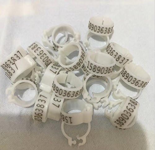 2.7/3/4/4.5/5/8/9/10/12/14mm Customized Bird Leg Band Pigeon Clip Open Grouped Ring Name Year 100pcs