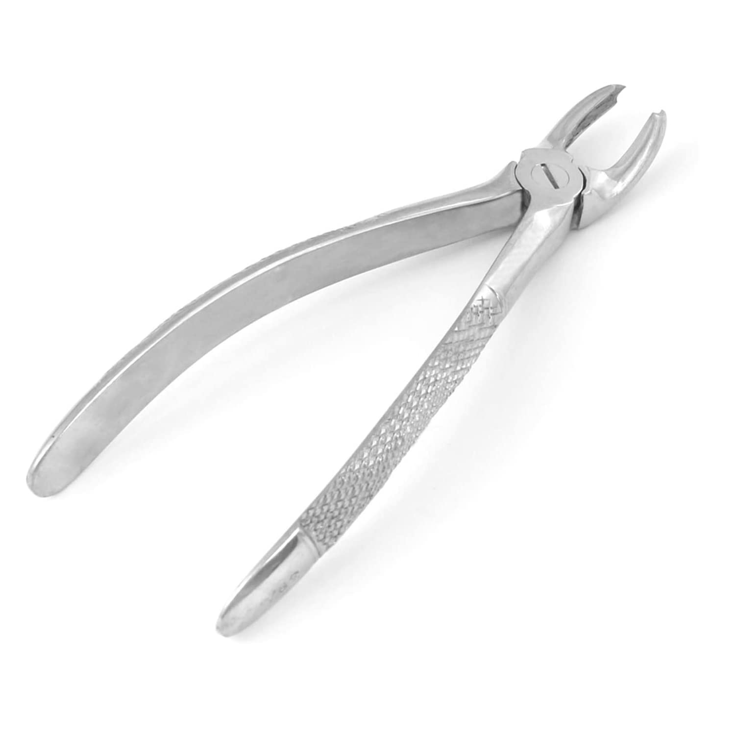 LAJA IMPORTS Dental Instruments EXTRACTING Forceps 39R Stainless Steel 1 PC