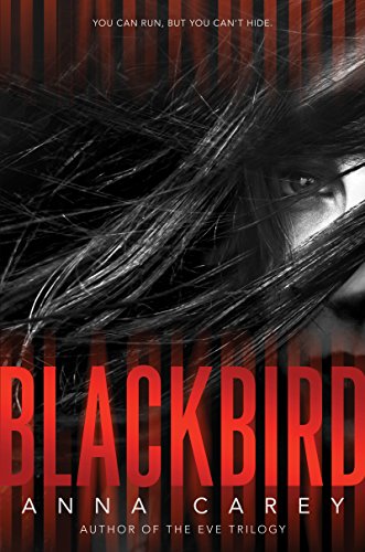 miscellaneous horror book for teens