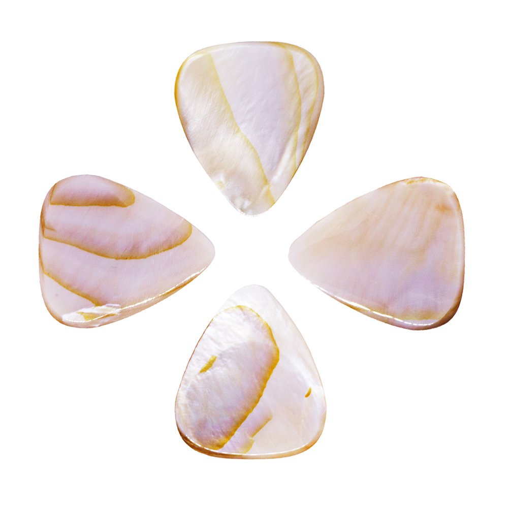 Timber Tones Shell Tones - Confezione di 4 plettri in contenitore di latta, motivi vari