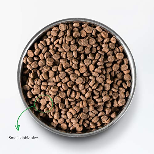 Open Farm Pasture-Raised Lamb Grain-Free Dry Cat Food thumb #4