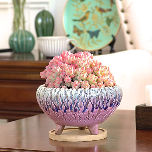 Summer Impressions Handmade Natural Cracking Round Ceramic Succulent Planter Pot Large Plant Pot With Drainge And Saucers Cactus Clay Pot (6.5 Inch Pink, 6.5 Inch) #TOP5