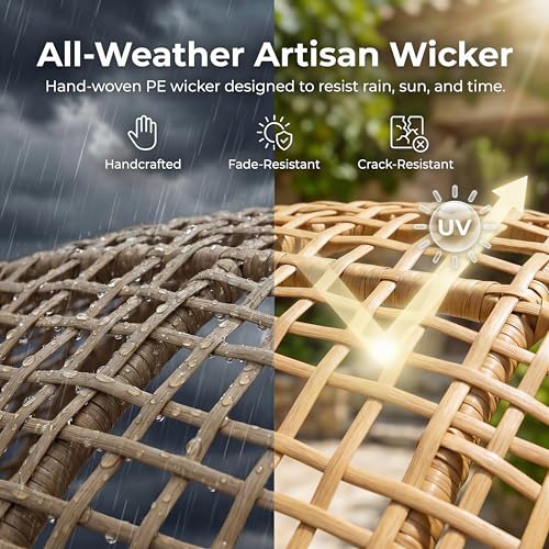 NICESOUL Double Egg Loveseat Chair