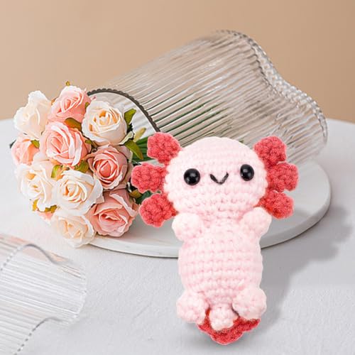 FREEBLOSS Conjunto de 4 conjuntos de kit de crochê Axolote de crochê e gancho, kit de 8 cores para i