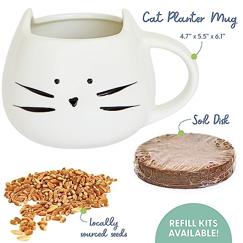 The Cat Ladies Organic Cat Grass for Indoor Cats - Growing Kit with Organic Seed Mix, Soil and White Cat Planter. Natural Hairball Control and Digestion Remedy, Cat Gifts