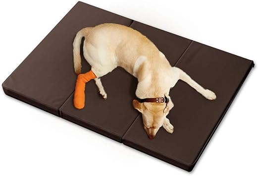 Amazon Ottostyle Jp ペット用 床ずれ防止マットレス Lサイズ ブラウン 幅135cm 奥行き90cm 高さ5cm 大型犬 防音 抗菌 防臭 寝たきり シニア Ottostyle Jp ベッド マット ステップ 通販