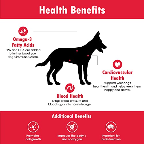 Cardiomax Heart Support Supplement For Dogs - L-Taurine, L-Carnitine, Epa And Dha, Coenzyme Q10 - Aids Circulatory Strength, Cardiovascular Support, Heart Muscle Function - Made In Usa - 60 Soft Chews #TOP1