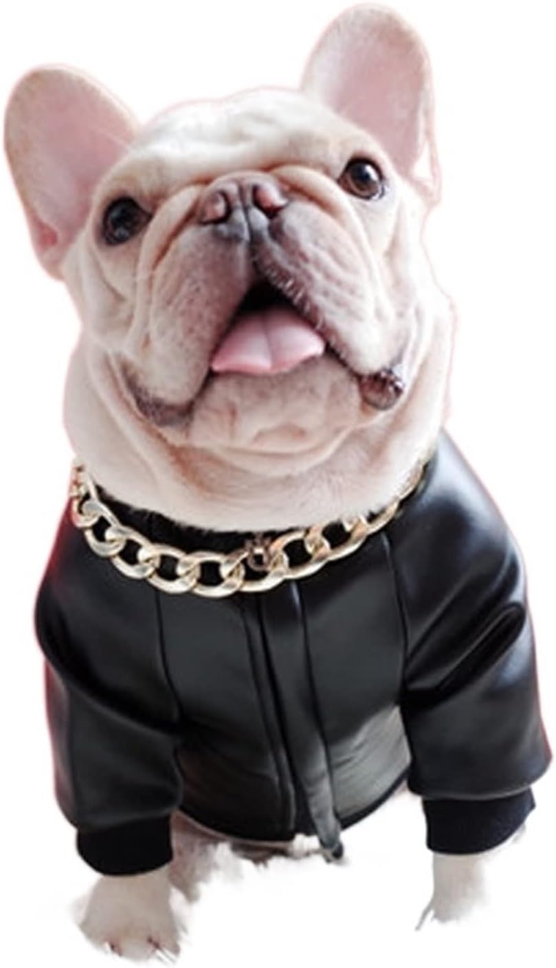 dog motorcycle jacket