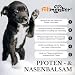 Fellmeister® Pfotenbalsam Hund – Pfotenpflege im Winter bei Schnee, EIS & Streusalz – Pfotenschutz für rissige & trockene Pfoten – Pfotenbalsam Stick mit Bienenwachs – Made in Germany