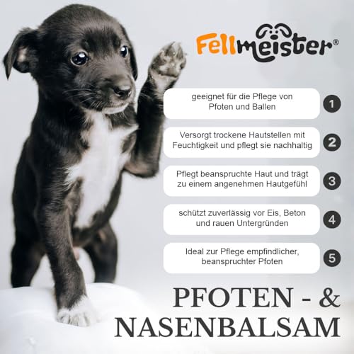 Fellmeister® Pfotenbalsam Hund – Pfotenpflege im Winter bei Schnee, EIS & Streusalz – Pfotenschutz für rissige & trockene Pfoten – Pfotenbalsam Stick mit Bienenwachs – Made in Germany